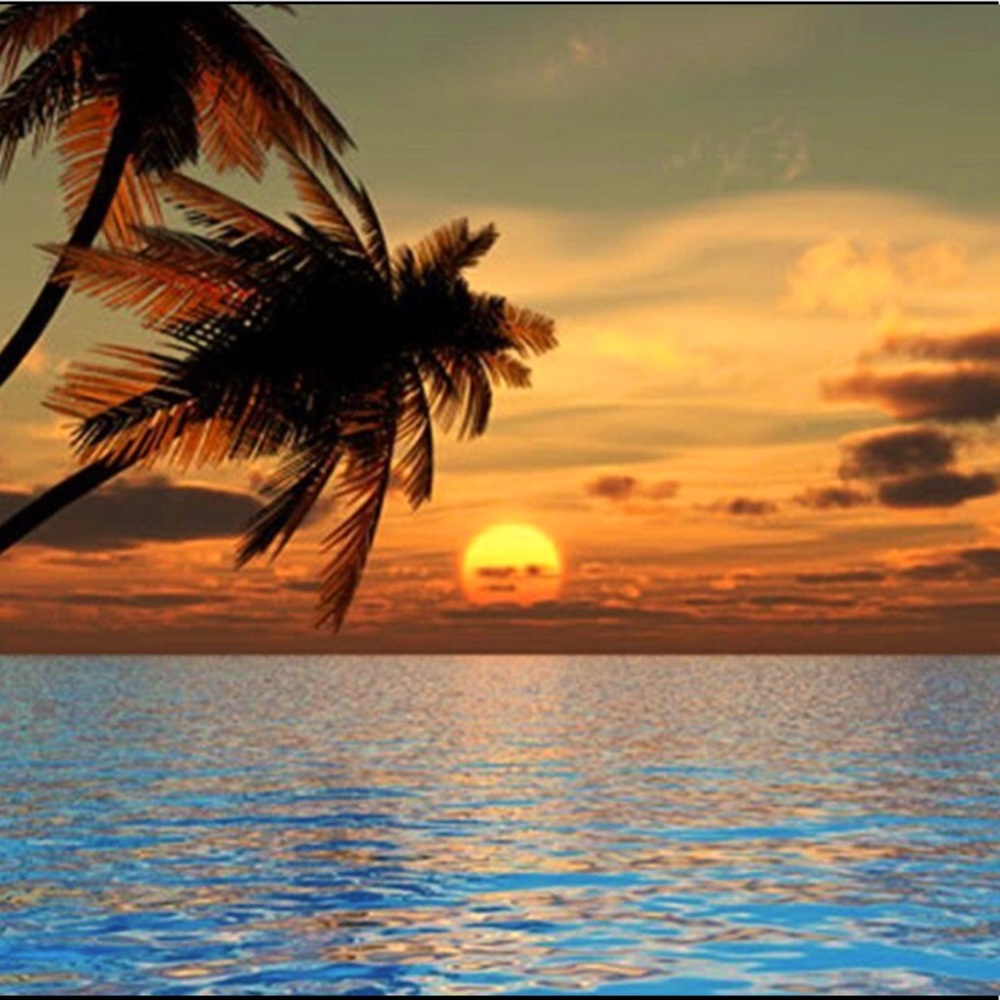 Meet your Posher, Maya